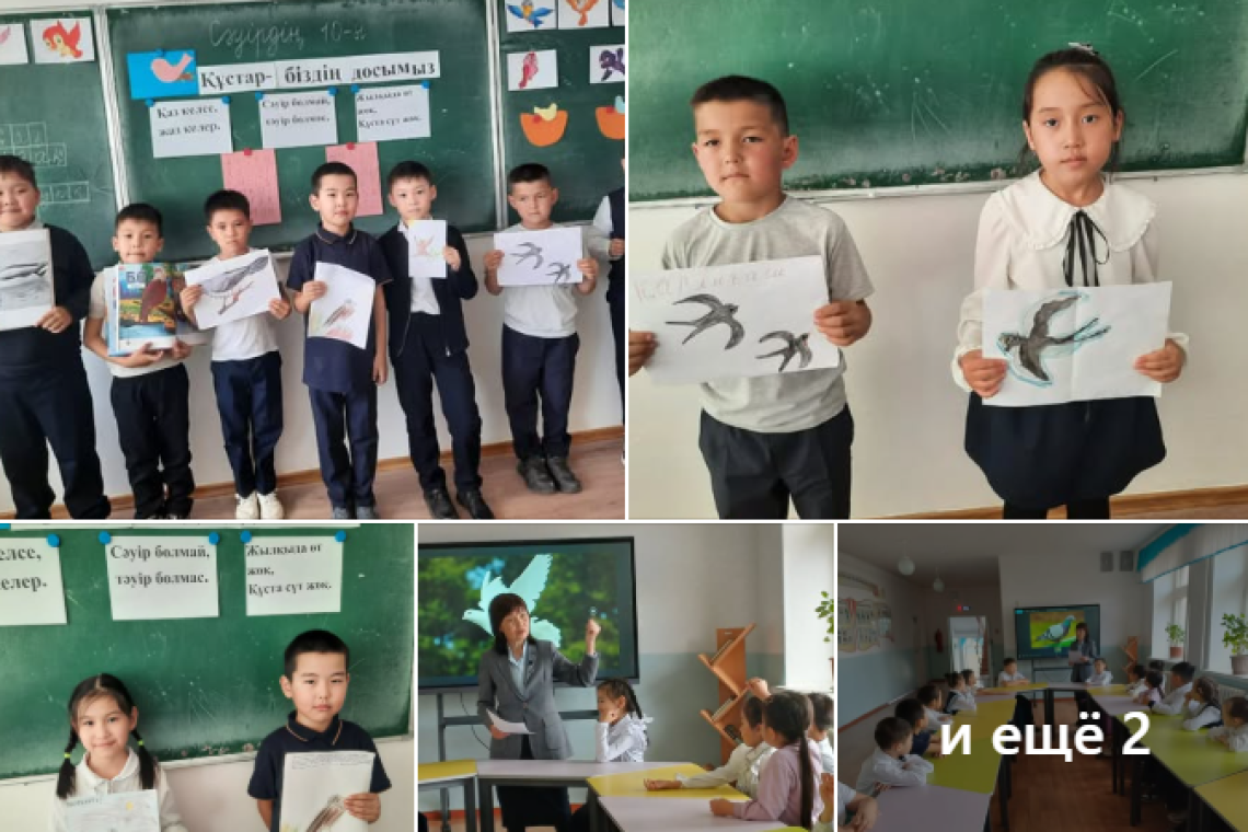  «Құстар-біздің досымыз» тақырыбында сынып сағатын өткізді.